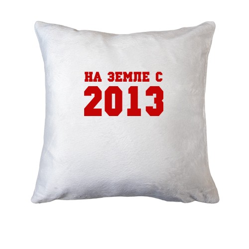 Подушка На земле с 2013