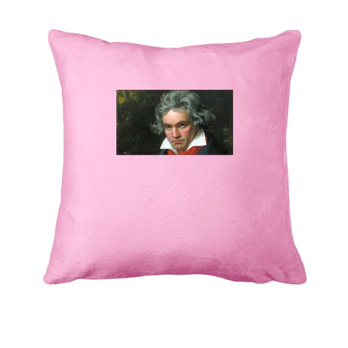 Подушка з Бетховеном
