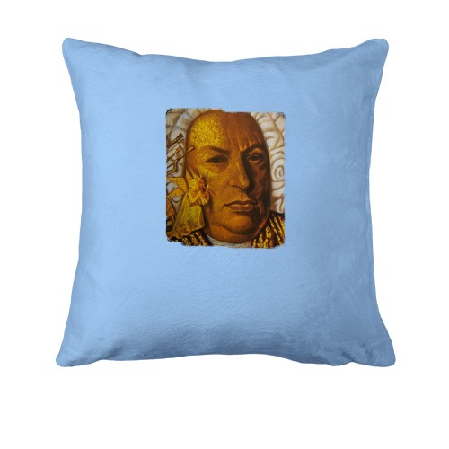 Подушка с Иоганном Себастьяном Бахом