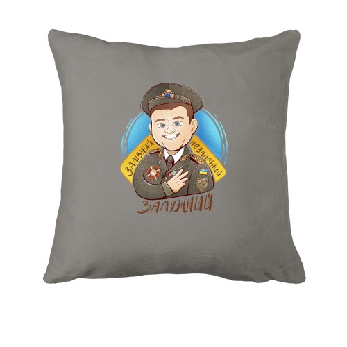 Подушка с Залужным 