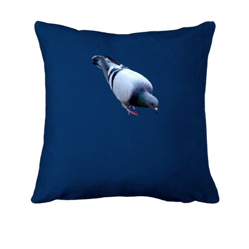 Подушка з голубом