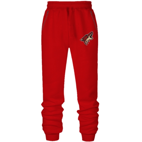 Штаны Phoenix Coyotes