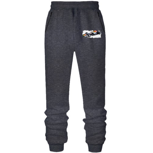 Чоловічі штани на флісі RB F1