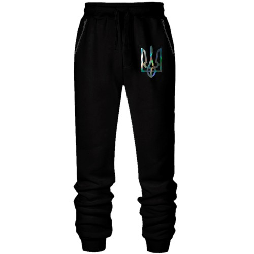 Чоловічі штани на флісі з гербом України (Н)