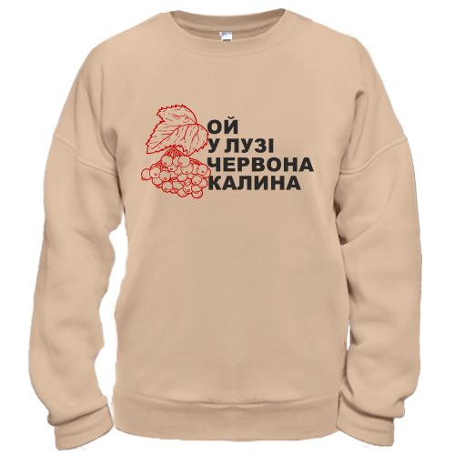 Свитшот 