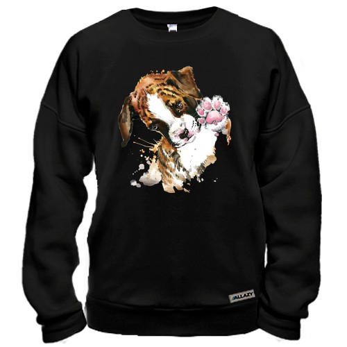 Свитшот с биглем