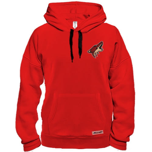 Толстовка Phoenix Coyotes