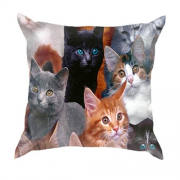 3D подушка з котами