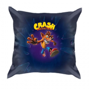 3D подушка Crash Bandicoot (2)