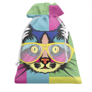 Подарочный мешочек с арт-котом в очках