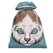 Подарочный мешочек с котом с голубыми глазами