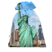 Подарунковий мішечок The Statue of Liberty