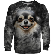 3D світшот Чіхуахуа (2)