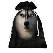 3D Подарунковий мішечок Хаскі