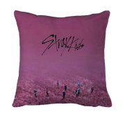 3D подушка Stray Kids (рожеве поле)