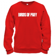 Свитшот Birds of Prey
