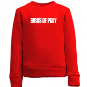 Детский свитшот Birds of Prey