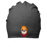Бавовняна шапка з бульдогом (Cool dog)