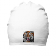 Хлопковая шапка Swag с тигром