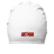 Хлопковая шапка Ant-men