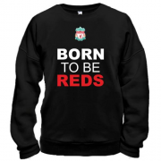 Свитшот Born To Be Reds (2)