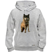 Худі з вовком (2)