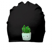 Хлопковая шапка Милый горшочек с кактусом