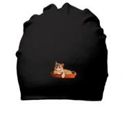 Хлопковая шапка Довольный кот в горшке