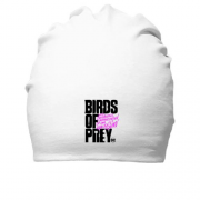 Хлопковая шапка Birds of Prey DC