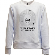 Детский свитшот без начеса Pink Floyd - LIVE AT POMPEII