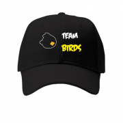 Детская кепка  Team birds