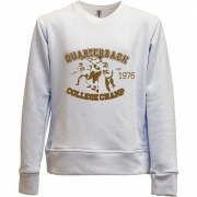 Детский свитшот без начеса College champ