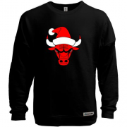 Свитшот без начеса Chicago Bulls New Year  JUDO Volleyball player