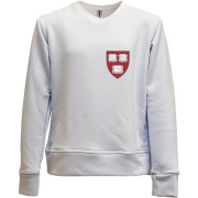 Детский свитшот без начеса Harvard logo mini