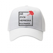 Детская кепка Ой у лузі червона калина...