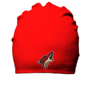 Хлопковая шапка Phoenix Coyotes (Вышивка)