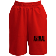 Шорты Animal
