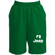 Шорты Jeep (2)