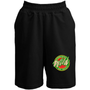 Шорты Minnesota Wild alternative (Вышивка)