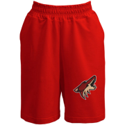 Шорты Phoenix Coyotes (Вышивка)