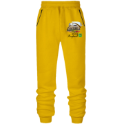 Штани з футера без начісу Місто-Герой Харків