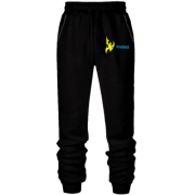 Штани з футера без начісу Starcraft Protoss