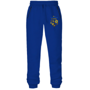 Штани з футера без начісу "З Україною у серці"