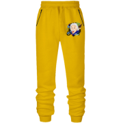 Штани з футера без начісу Альберт Ейнштейн з формулами