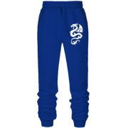 Штаны из футера без начеса Дракон 2