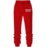 Штани з футера без начісу  Ненавиджу будинок 2