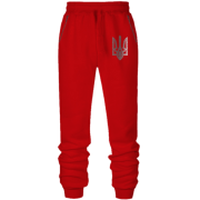 Штани з футера без начісу зі стилізованим тризубом