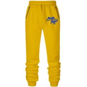 Штани з футера без начісу Україна мій дім