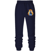 Штани з футера без начісу з логотипом Аквамена