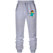 Штани з футера без начісу з агентом Перрі-качкодзьобом